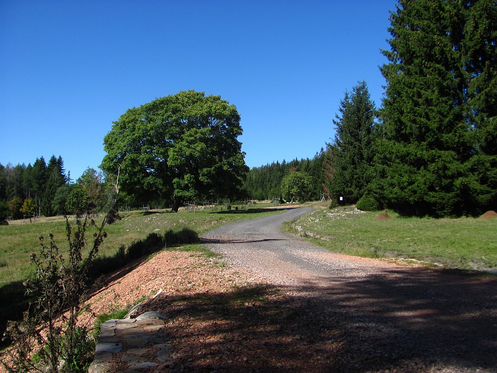 Rozcestí na Boru s bývalou hájovnou