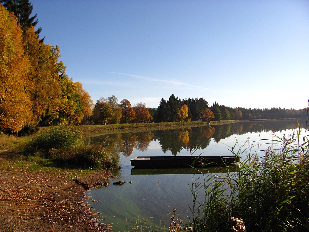 Hořejší Padrťský rybník