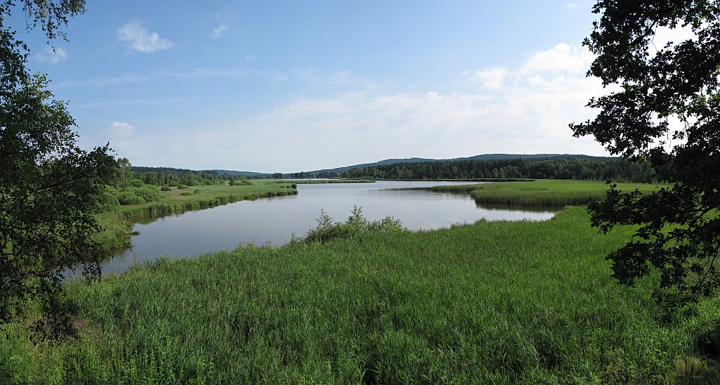 Dolejší Padrťský rybník