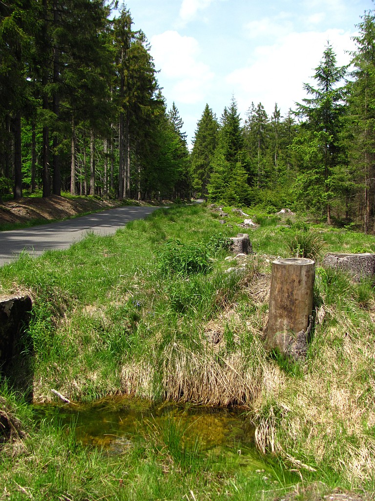 Lesní cesta Havelská