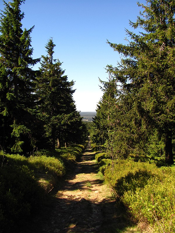 Cesta k Fichtelbergu