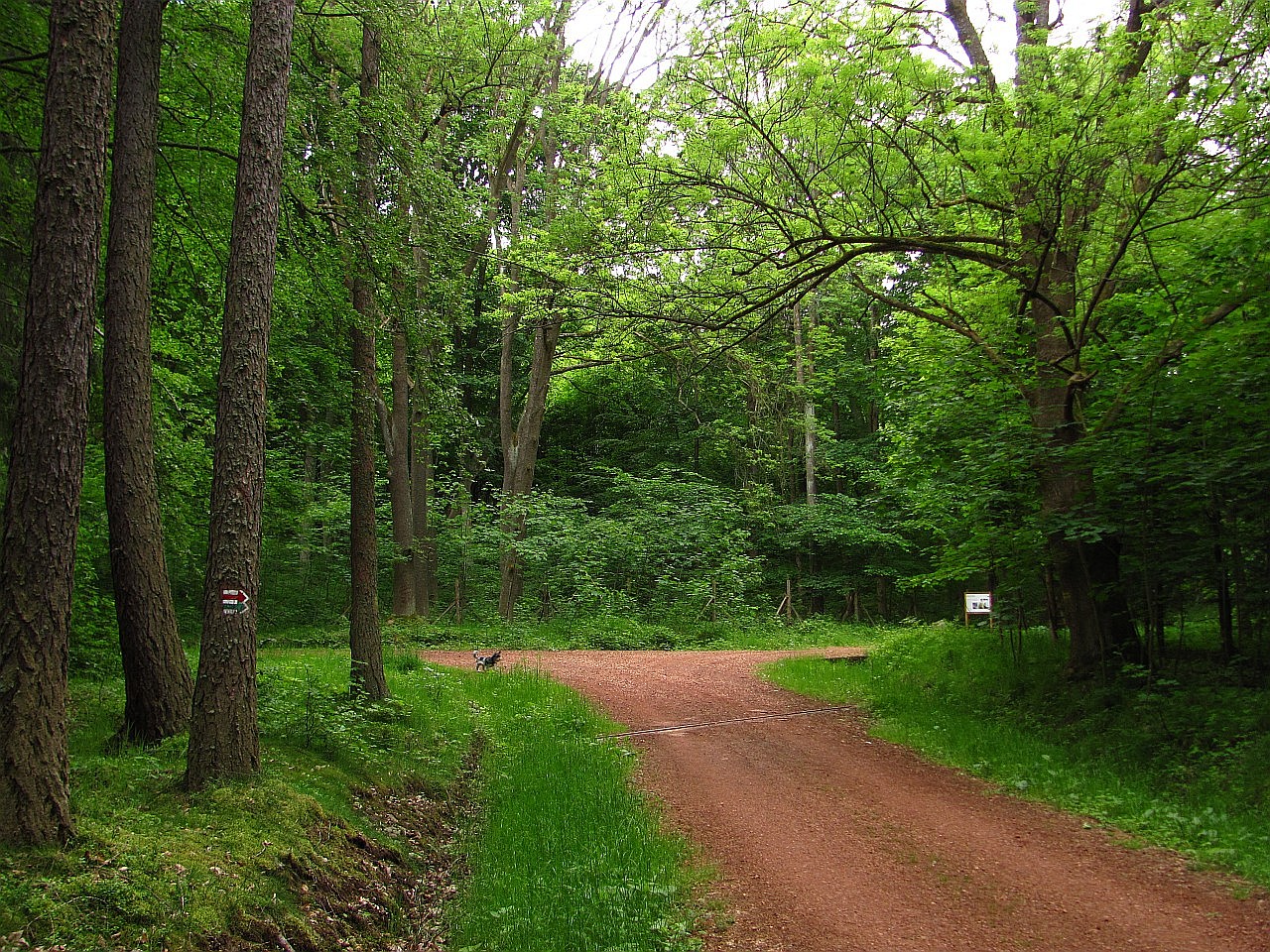 Rozcestí Pod Kloboučkem